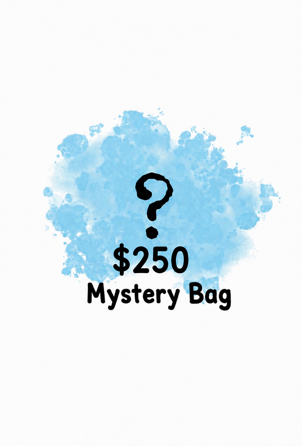 $250 Mystery Bag
