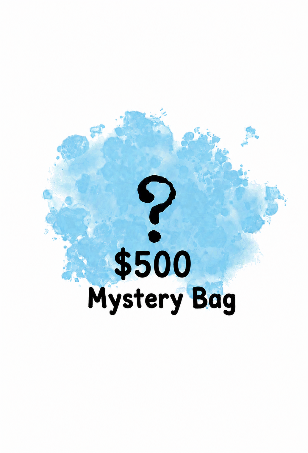 $500 Mystery Bag